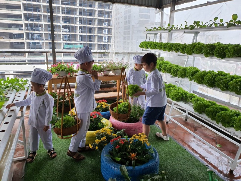 Trồng rau tại nhà mang đến không gian xanh