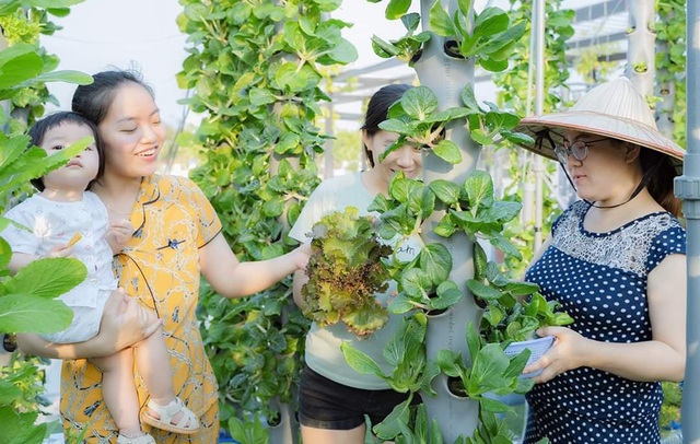 Đầu tư 1 tỷ đồng làm vườn rau khủng trên nóc chung cư ở TP. HCM - 9