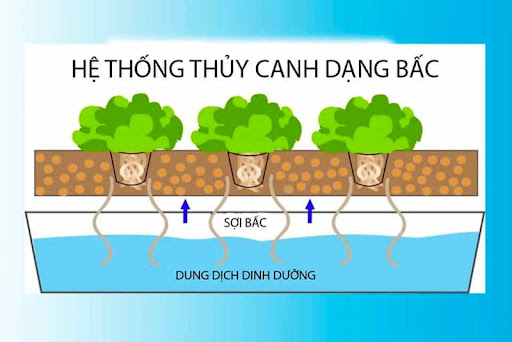 Mực nước trong ống thủy canh dạng bấc