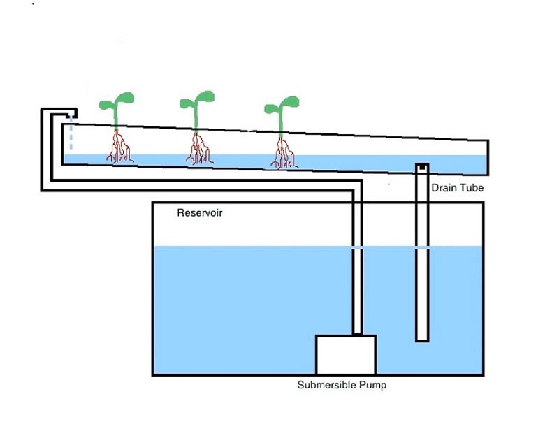 mực nước tiêu chuẩn trong ống thủy canh