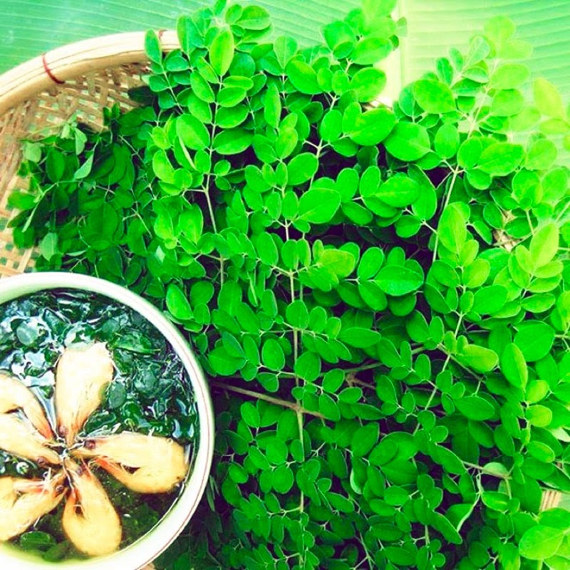 Trồng rau gì vào tháng 10 là câu hỏi rất được quan tâm