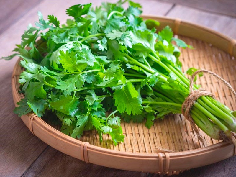 Tháng 8 nên trồng rau gì ở miền Nam